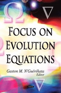 bokomslag Focus on Evolution Equations