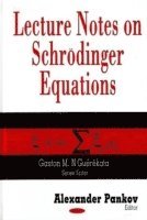 bokomslag Lecture Notes on Schrödinger Equations