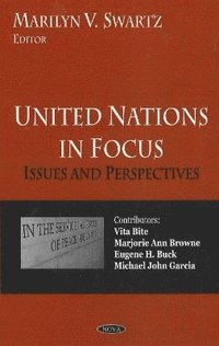 bokomslag United Nations in Focus