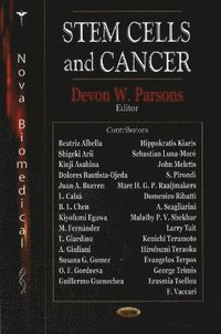 bokomslag Stem Cells & Cancer