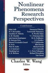 bokomslag Nonlinear Phenomena Research Perspectives