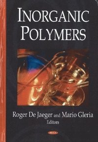 bokomslag Inorganic Polymers