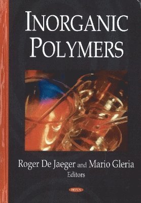 bokomslag Inorganic Polymers