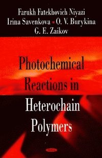 bokomslag Photochemical Reactions in Heterochain Polymers