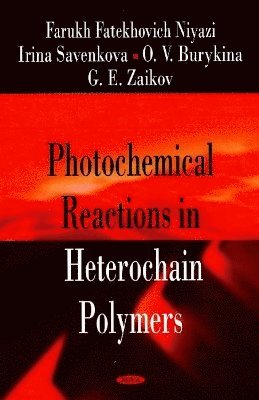 bokomslag Photochemical Reactions in Heterochain Polymers