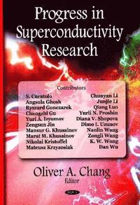 bokomslag Progress in Superconductivity Research