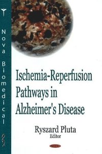 bokomslag Ischemia-Reperfusion Pathways in Alzheimer's Disease