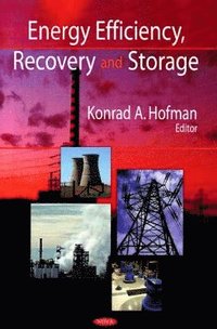 bokomslag Energy Efficiency, Recovery & Storage