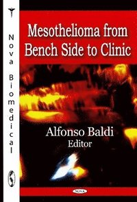 bokomslag Mesothelioma from Bench Side to Clinic
