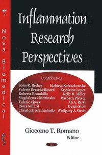 bokomslag Inflammation Research Perspectives