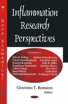 bokomslag Inflammation Research Perspectives
