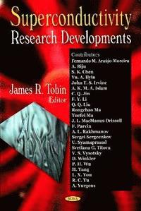 bokomslag Superconductivity Research Developments