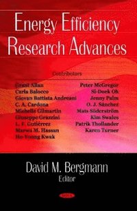 bokomslag Energy Efficiency Research Advances