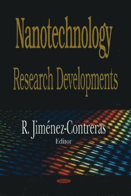 bokomslag Nanotechnology Research Developments