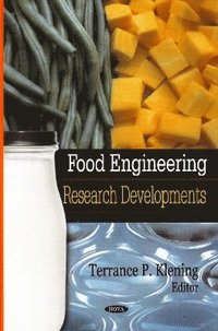 bokomslag Food Engineering