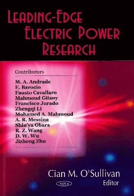 bokomslag Leading-Edge Electric Power Research