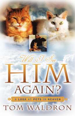 Will I See Him Again? A Look At Pets In Heaven 1