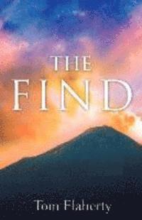 The Find 1