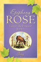 bokomslag EPIPHANY ROSE-Gift of The Promise! Book 3