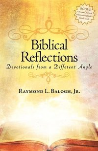 bokomslag Biblical Reflections
