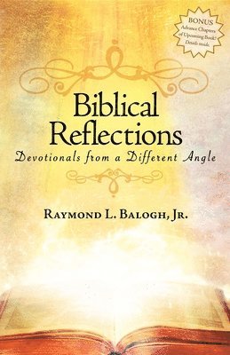 bokomslag Biblical Reflections