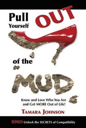 Pull Yourself Out of the Mud