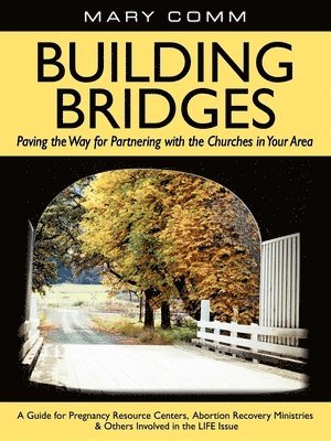 Building Bridges 1