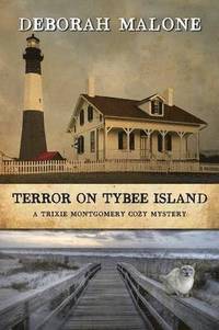 bokomslag Terror on Tybee Island
