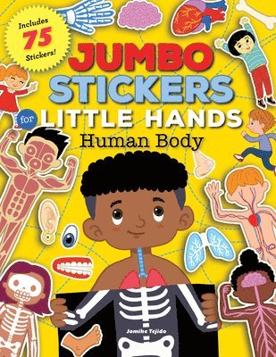 Jumbo Stickers for Little Hands: Human Body: Volume 1 1