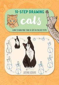 bokomslag Ten-Step Drawing: Cats: Learn to Draw More Than 50 Cats in Ten Easy Steps!