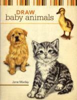 Draw Baby Animals