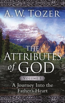 bokomslag Attributes Of God Volume 1, The
