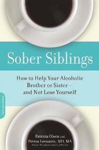 bokomslag Sober Siblings