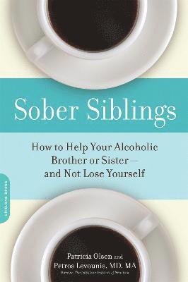 bokomslag Sober Siblings