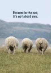 Because in the End, it's Not About Ewe 1
