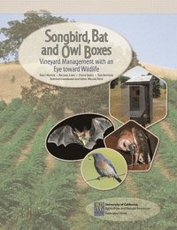 bokomslag Songbird, Bat, and Owl Boxes