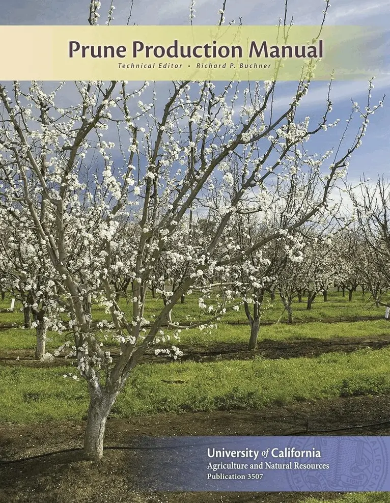 Richard P Buchner - Prune Production Manual, Häftad. Tillgänglighet: Lägg i varukorg