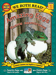bokomslag Amazing Eggs/Huevos Asombrosos
