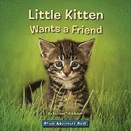 bokomslag Little Kitten Wants a Friend