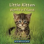 bokomslag Little Kitten Wants a Friend