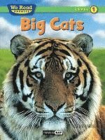 bokomslag Big Cats