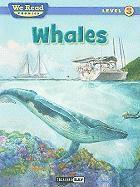 Whales