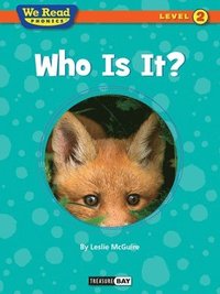 bokomslag We Read Phonics: Who Is It?