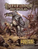 bokomslag Pathfinder Module: Plunder & Peril