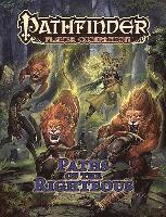 bokomslag Pathfinder Player Companion: Paths of the Righteous