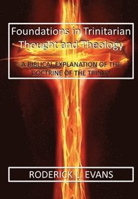 bokomslag Foundations in Trinitarian Thought and Theology