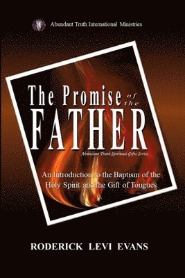 bokomslag Promise of the Father