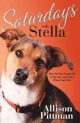 bokomslag Saturdays with Stella