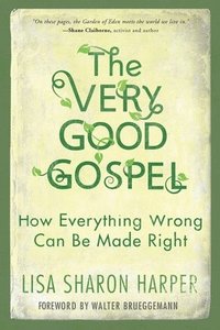 bokomslag The Very Good Gospel