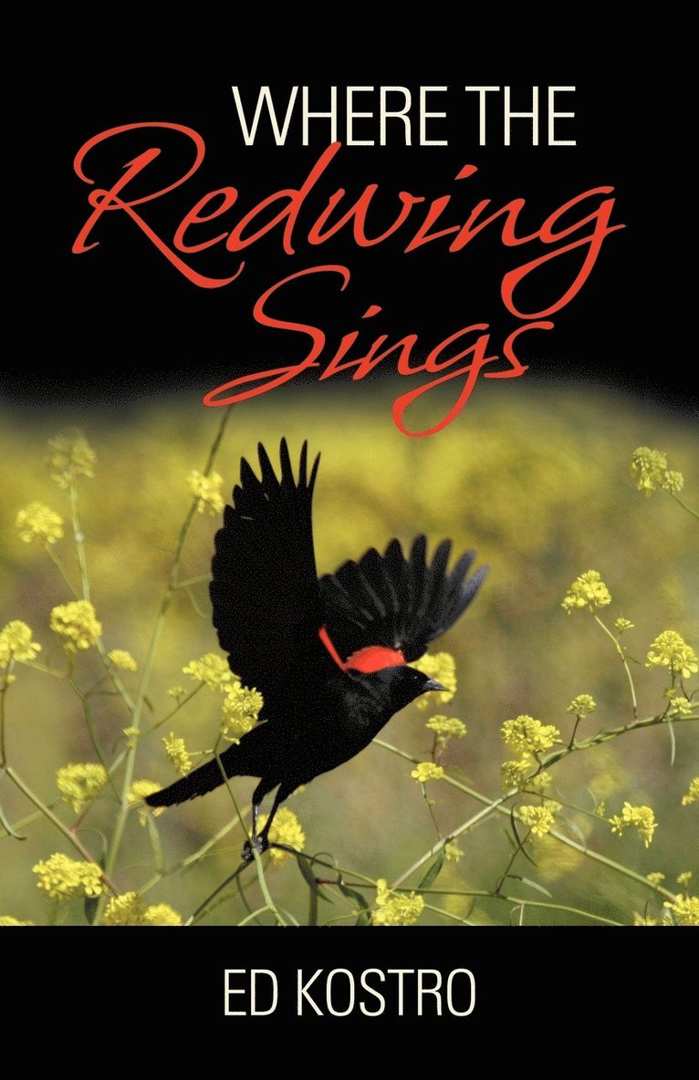 Where the Redwing Sings 1